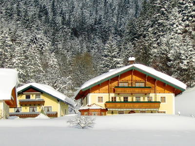 Bild 20 aus  Am Ferienbauernhof Schmiedbauer.com im Salzkammergut