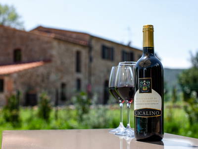 Bild 13 aus  Tenuta Il Cicalino