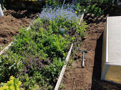 Bild 30 aus  Biohof Viertl