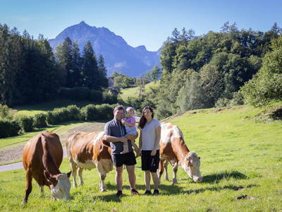 Bild 2 aus  Grafbauer