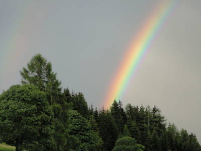 Bild 78 aus  Pesbichl