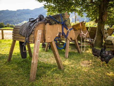 Bild 30 aus  Proneben Gut - Erlebnisbauernhof u. Kuschelhütten