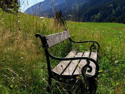 Bild 73 aus  Stembergerhof