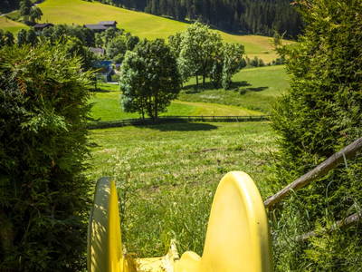 Bild 107 aus  Zauchtalerhof