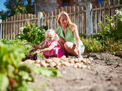 Bild 145 aus  Bio-Urlaubshof Dansbach