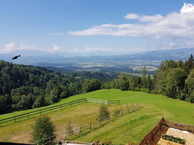 Bild 90 aus  Stroneggerhof