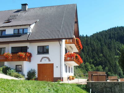 Bild 54 aus  Ferienhaus - Ferienwohnungen Müllerbauernhof im Schwarzwald.