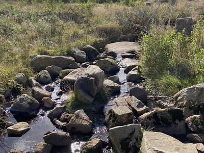 Bild 35 aus  Ferienhof Morich Harz
