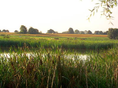 Bild 33 aus  Ferien am Schloss