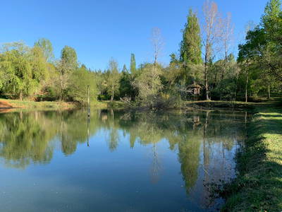 Bild 68 aus  Le Colombié - Ferienhäuser an der Dordogne mieten
