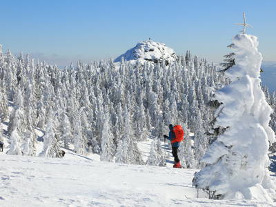 Bild 28 aus  Paulas Bauernhof im Bayerischen Wald