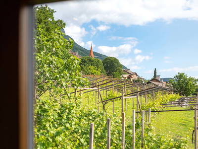 Bild 14 aus  Finkenhof