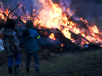 Bild 11 aus  Gut Grasbeck