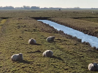 Bild 22 aus  Heverhus