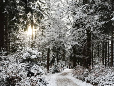 Bild 29 aus  Ferienhäuser Zur Schäferei
