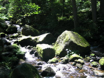 Bild 21 aus  Schreinerhäusle