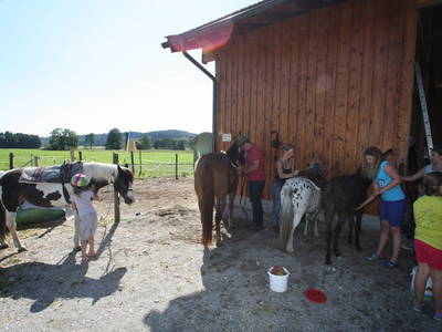 Bild 26 aus  Stefanutti Hof