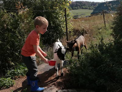 Bild 35 aus  Marienhof