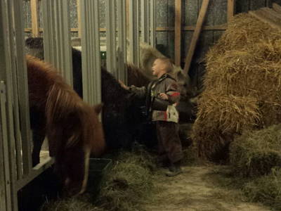 Bild 10 aus  Fredensminde Ferie