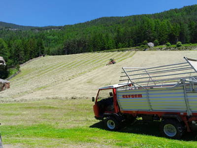 Bild 19 aus  Rieplechnhof