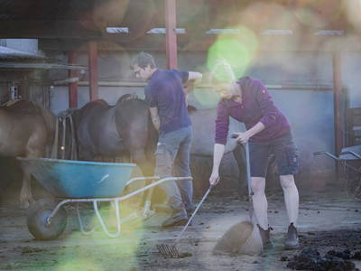Bild 31 aus  LINDENHOF- BAUERNHOFURLAUB / OSTSEENÄHE