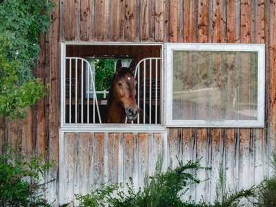 Bild 23 aus  Kimpelehof