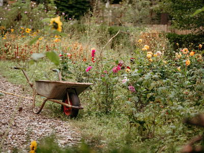 der blühende Bauerngarten