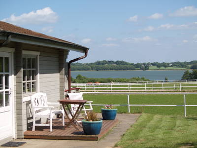 Bild 53 aus  Gestüt Hof am See