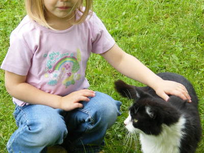 Bild 16 aus  Barmbichlhof