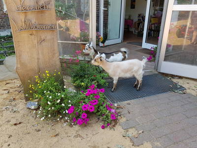 Bild 16 aus  Schümannhof