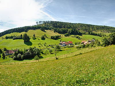 Bild 25 aus  Bauernhof Rützler