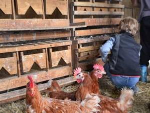 Bild 5 aus  Ferienhof Schlünzen