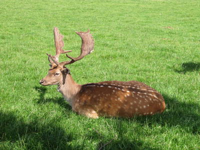 Bild 8 aus  Fichtelgebirgsblick