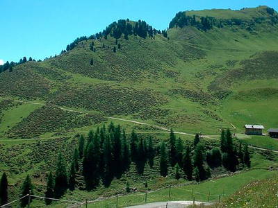 Bild 18 aus  Platzerhof