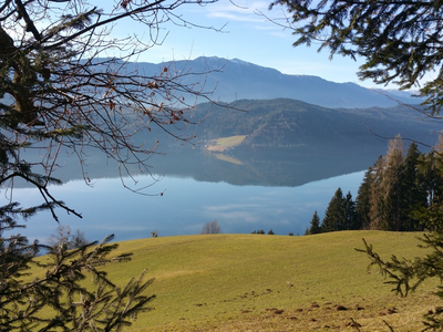 Bild 25 aus  Forstbauer am Millstätter Hochplateau