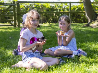 Bild 30 aus  Nordsee-Ferienhof Wittmaack - Beliebtester Ferienhof Deutschlands 2024