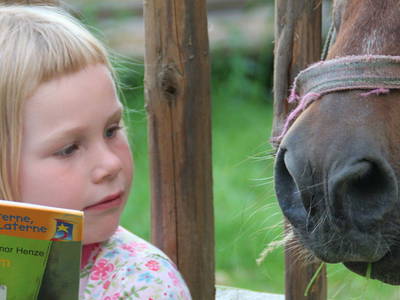 Bild 7 aus  Frongahof