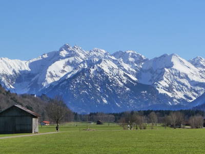 Bild 8 aus  Ferienhof Dauser