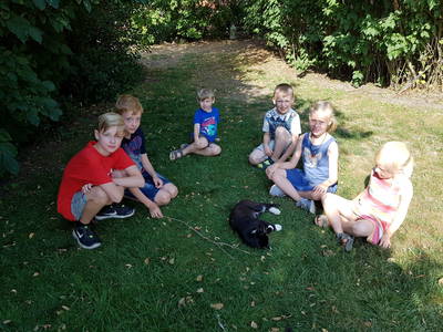 Bild 11 aus  Ferienhof Albert