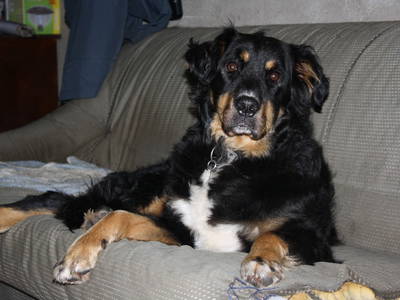 Bild 15 aus  Bauernhof Rupertiblick