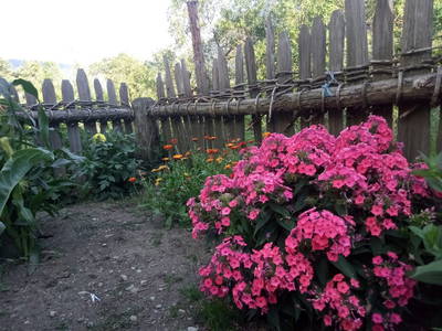 Bild 26 aus  Kreuzplon