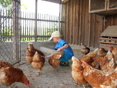 Bild 55 aus  Urlaub am Regen - Biobauernhof Dirnberger