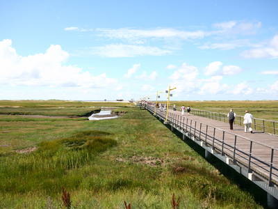 Bild 54 aus  Ferienhof Peter -  Ponys - streicheln, striegeln, füttern  -  Wattwanderungen + ganz viel Nordsee