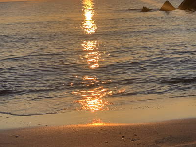 Bild 29 aus  Traumhafte Ferienwohnung am Wittenberghof