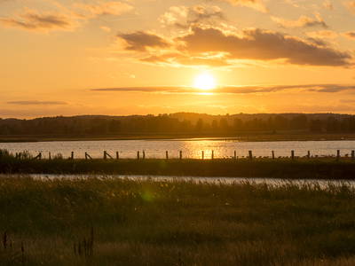 Bild 32 aus  LandSelection Gut Gaarz