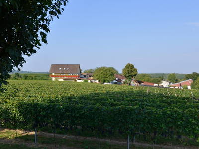 Bild 4 aus  Ferienhof Walter