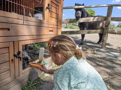 Bild 37 aus  LandSelection Ferienhof Radlandsichten