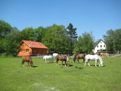 Bild 15 aus  Ferienhof-Marx