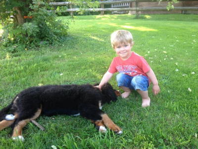 Bild 8 aus  Ferienwohnungen Strobel Eichstegen