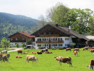 Bild 4 aus  Weissenhof-Inzell